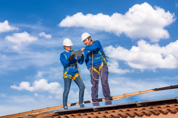 Best Roof Moss and Algae Removal  in University Place, WA